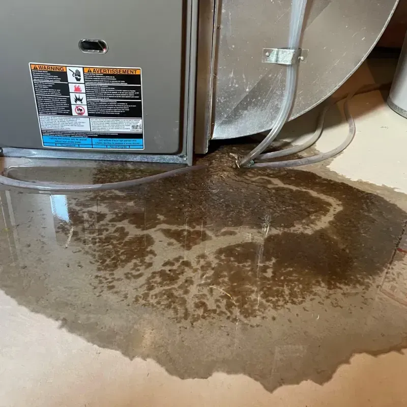 Appliance Leak Cleanup in Tucson Estates, AZ